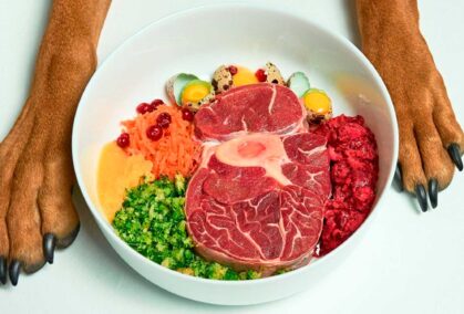 dieta-barf-para-perros